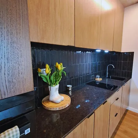 Apartmán Park View Olszynki Park Rzeszów