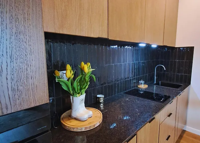 Apartmán Park View Olszynki Park Rzeszów